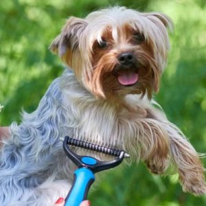 escova removedora de pelo em cachorro