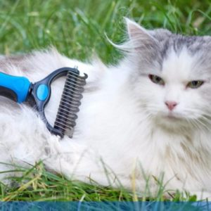 escova removedora de pelo em gato